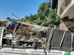 Best Carpet Removal and Disposal  in Canadian Lakes, MI