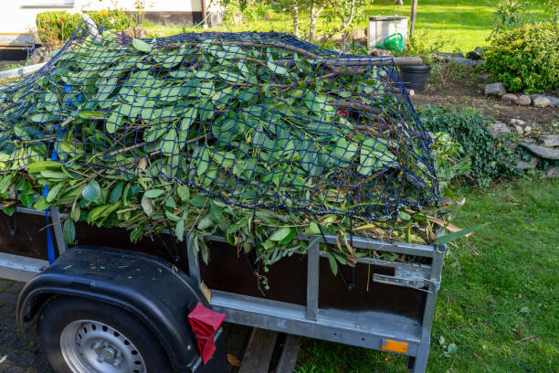 Best Shed Removal  in Canadian Lakes, MI